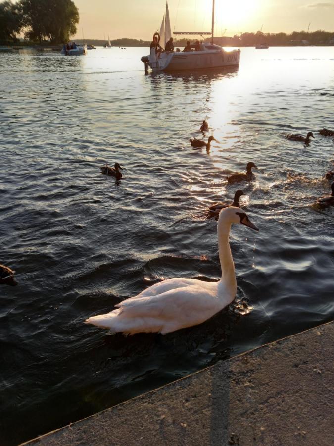 Mieszkanie do wynajęcia Serce Ostródy Ostróda Exterior foto